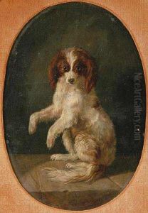 A Begging Dog