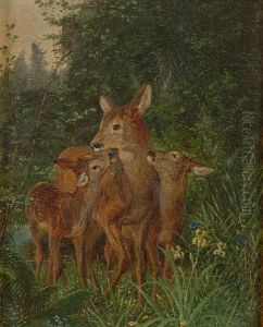 Hind And Two Calves In Woodland