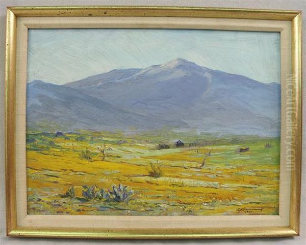 Poppy Fields, Arizona - view 1
