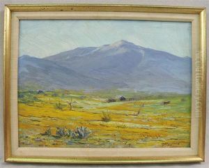 Poppy Fields, Arizona by Arthur J. Hammond
