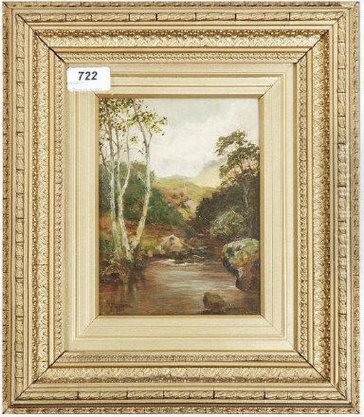 A Welsh River Scene
In Autumn - view 1