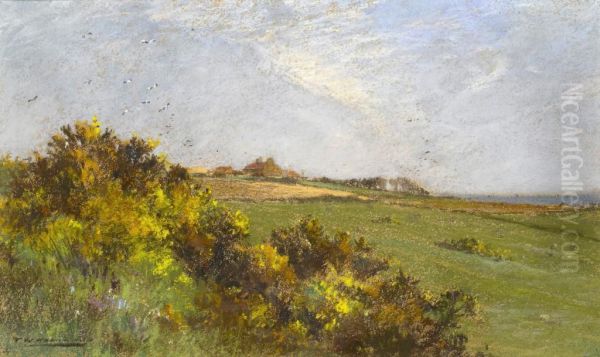 High Summer - view 1