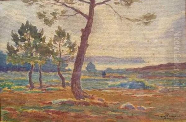 Erquy - view 1