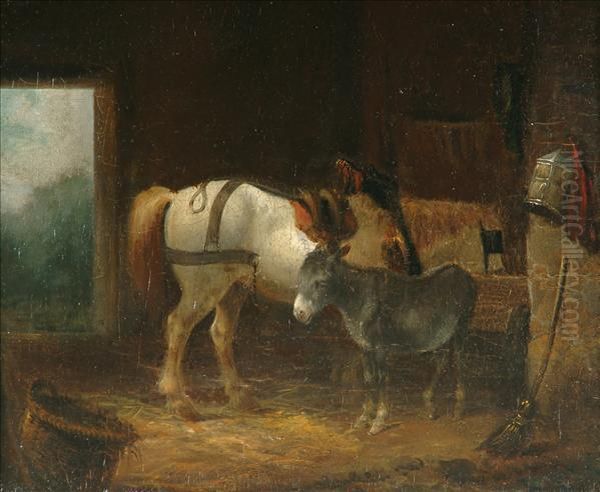 Horse And Donkey - view 1