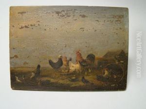 Roosters And Chicks Feeding Roosters And Chicks Feeding