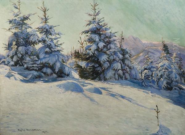 Winter In Tatras - view 1