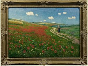 Sommerlandschaft Mitklatschmohnwiesen