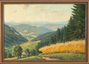 Schwarzwaldlandschaft Bei Laufenburg, Bei Freiburg