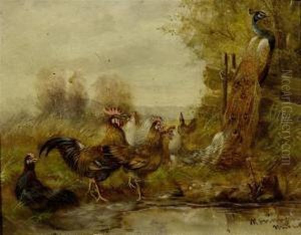 Hens And A Peacock At A Pond - view 1