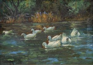 Enten Auf Dem Teich by Wilhelm Hanken