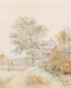 Country Landscape With Sheep