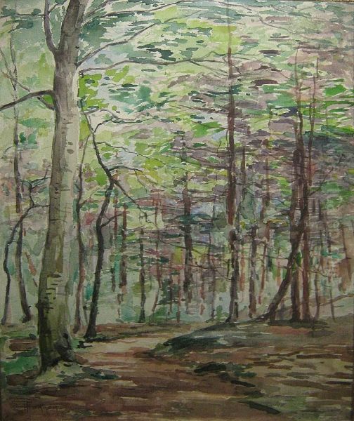 Bosgezicht. - view 1