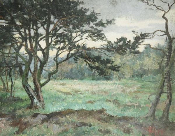 Meadow In The Woods - view 1