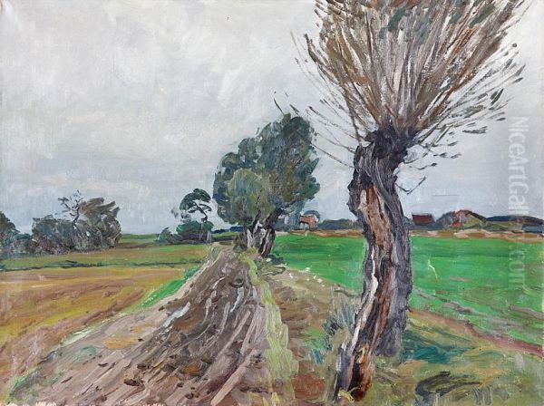 Alte Weiden, Stolpe - view 1