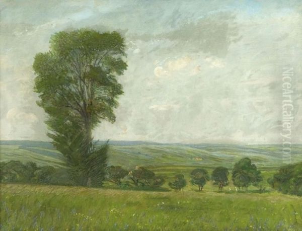 Sommerlandschaft Bei Weimar - view 1
