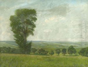 Sommerlandschaft Bei Weimar by Carl Hansen