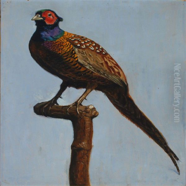 Pheasant. - view 1