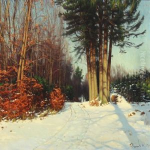 Winter Scenery by Sigvard Hansen
