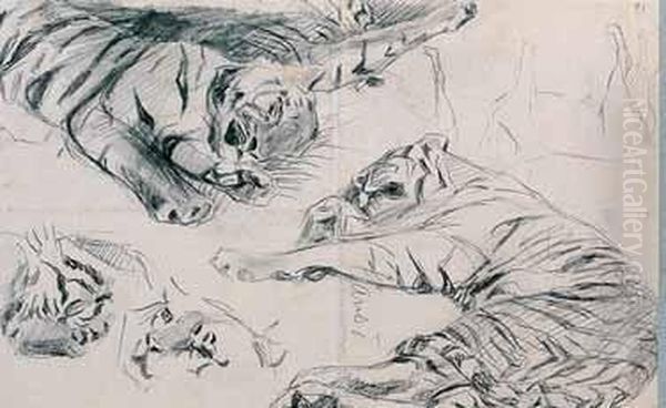 Studio Di Tigre - view 1