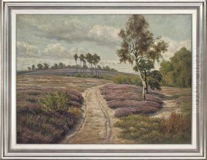 A Track Running Through A Sunlit Landscape A Track Running Through A Sunlit Landscape