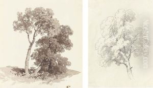 An Album Of Fifty-one by James Duffield Harding
