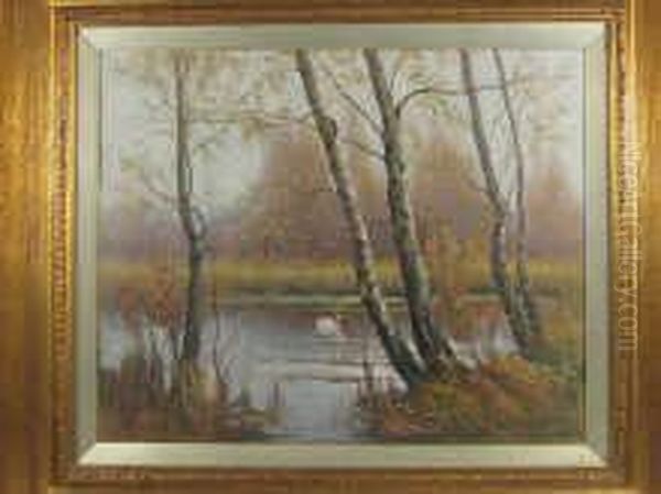A Swan On A Lake - view 1