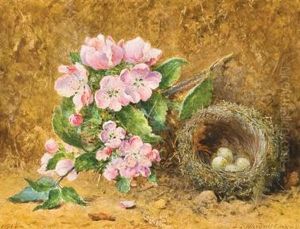 Apple Blossom And Nest by John Jessop Hardwick