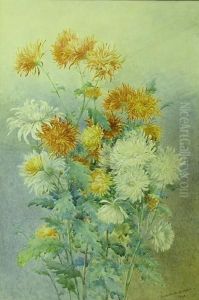 Chrysanthemums Chrysanthemums