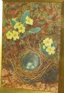 Bird's Nest And Primrose On A Mossy Bank by John Jessop Hardwick