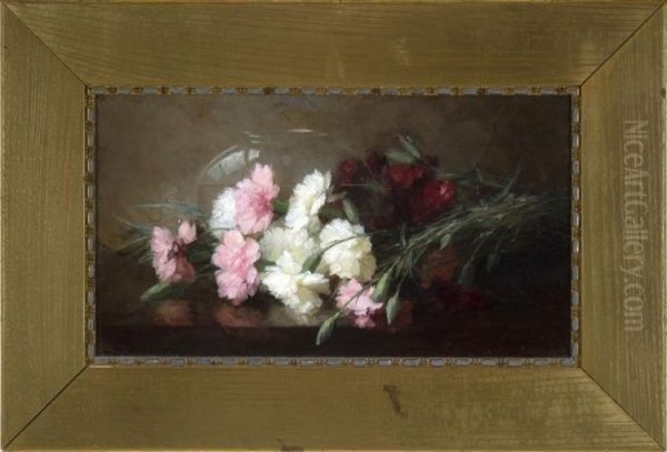 Carnations - view 1