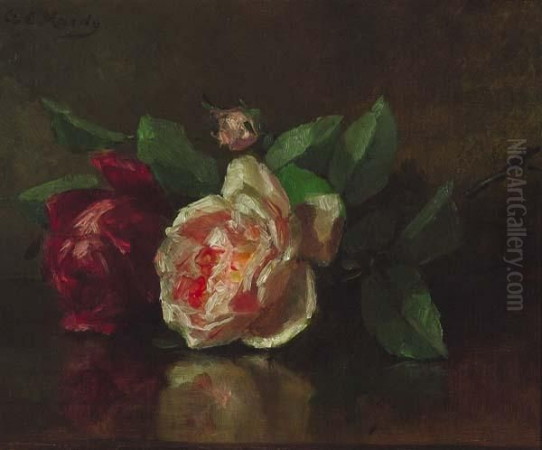 ''roses'' - view 1