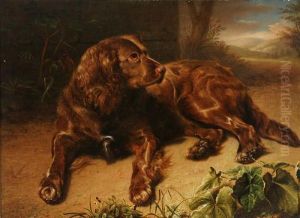 Brown Spaniel Resting On A Woodland Floor by Jeremiah Pearson Hardy