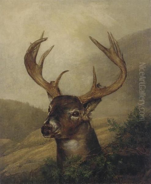 A Stag In A Mountainous Landscape - view 1