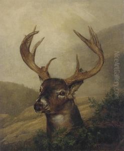 A Stag In A Mountainous Landscape