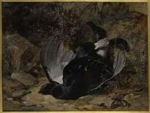 Black Grouse