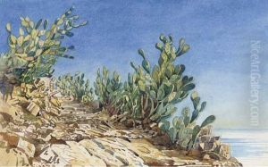 Massa Ducale; And Prickly Pears At Taormina