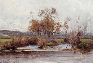 On Dolgarrog Stream, Conway Valley by Julius Hare