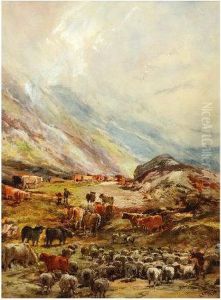 Driving Highland Cattle To Falkirk Tryst