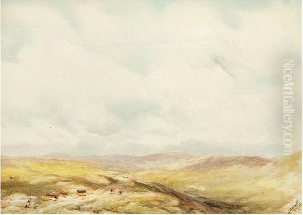 Scottish Highland Landscape - view 1