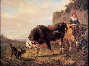 Chien Bravant Un Taureau