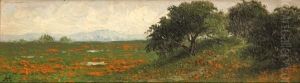 California Oaks And Wildflowers