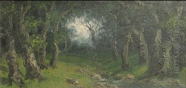 Quiet Stream Through A Forest Interior - view 1