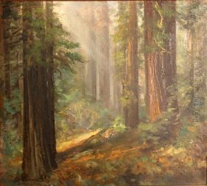 Humbolt Redwoods, Glendale, California
