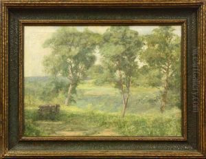 Santa Clara Valley by Charles Henry Harmon