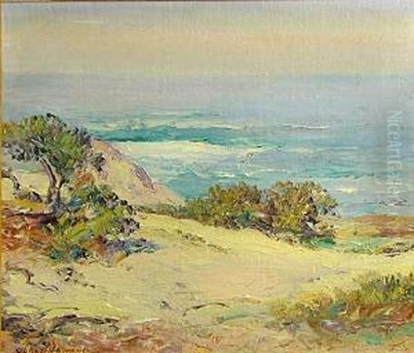 A Coastal View - view 1
