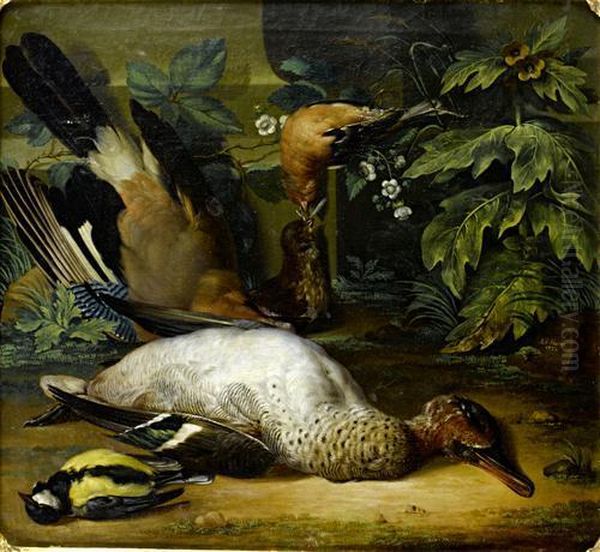 A Dead Jay, Chaffinch, Teal And A Great Tit On A Forest Floor - view 1