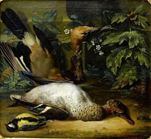 A Dead Jay, Chaffinch, Teal And A Great Tit On A Forest Floor