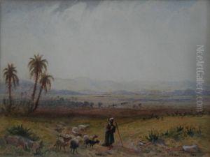 The Plains Of Sharon