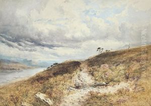 A Heathland Path