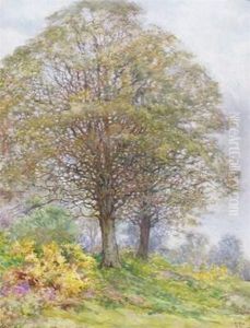 Trees At The Edge Of The Wood by Edward Steel, Harper Jnr.